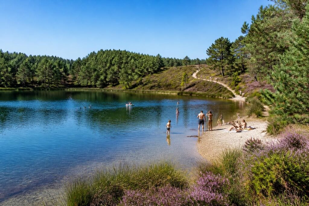 découvrez le lac des landes, un site idéal pour la baignade et les escapades nature dans la région. profitez de paysages préservés et d'activités en plein air pour toute la famille.